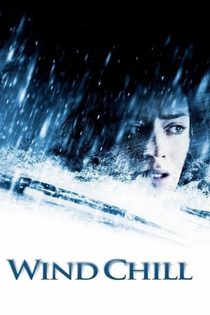 Wind Chill (2007) คืนนรกหนาว 