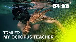 My Octopus Teacher (2020) บทเรียนจากปลาหมึก