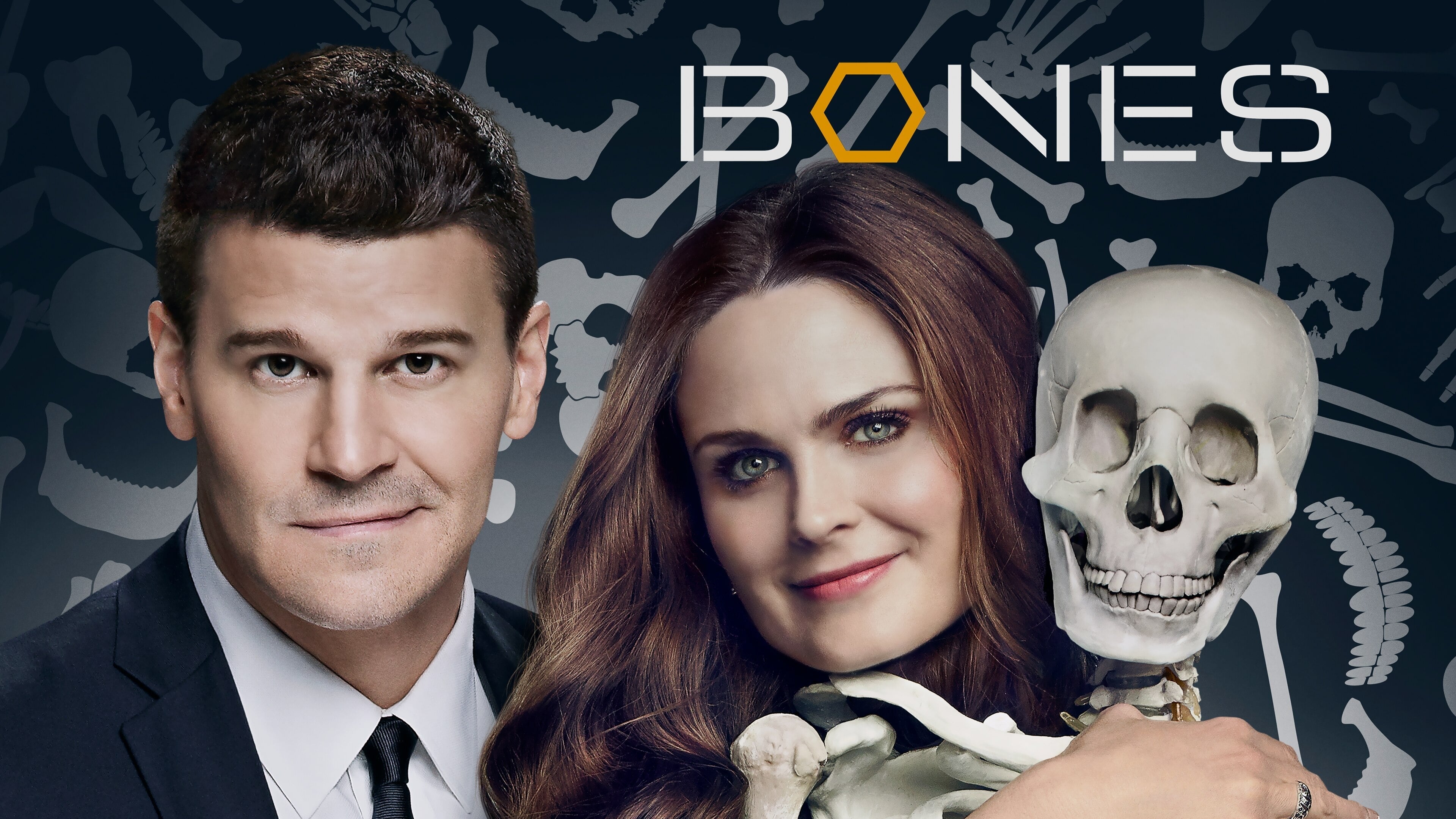 Bones Season 11 (2015) พลิกซากปมมรณะ ปี 11