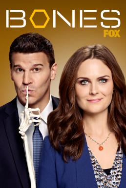 Bones Season 9 (2013) พลิกซากปมมรณะ ปี 9