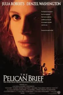 The Pelican Brief (1993)