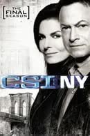 CSI New York Season 9 (2012) หน่วยเฉพาะกิจสืบศพระทึกนิวยอร์ก [พากย์ไทย]