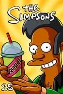 The Simpsons Season 25