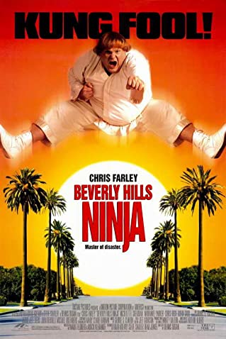 Beverly Hills Ninja (1997) ตุ้ยนุ้ยนินจาฮากลิ้ง