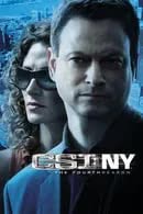 CSI New York Season 4 (2007)